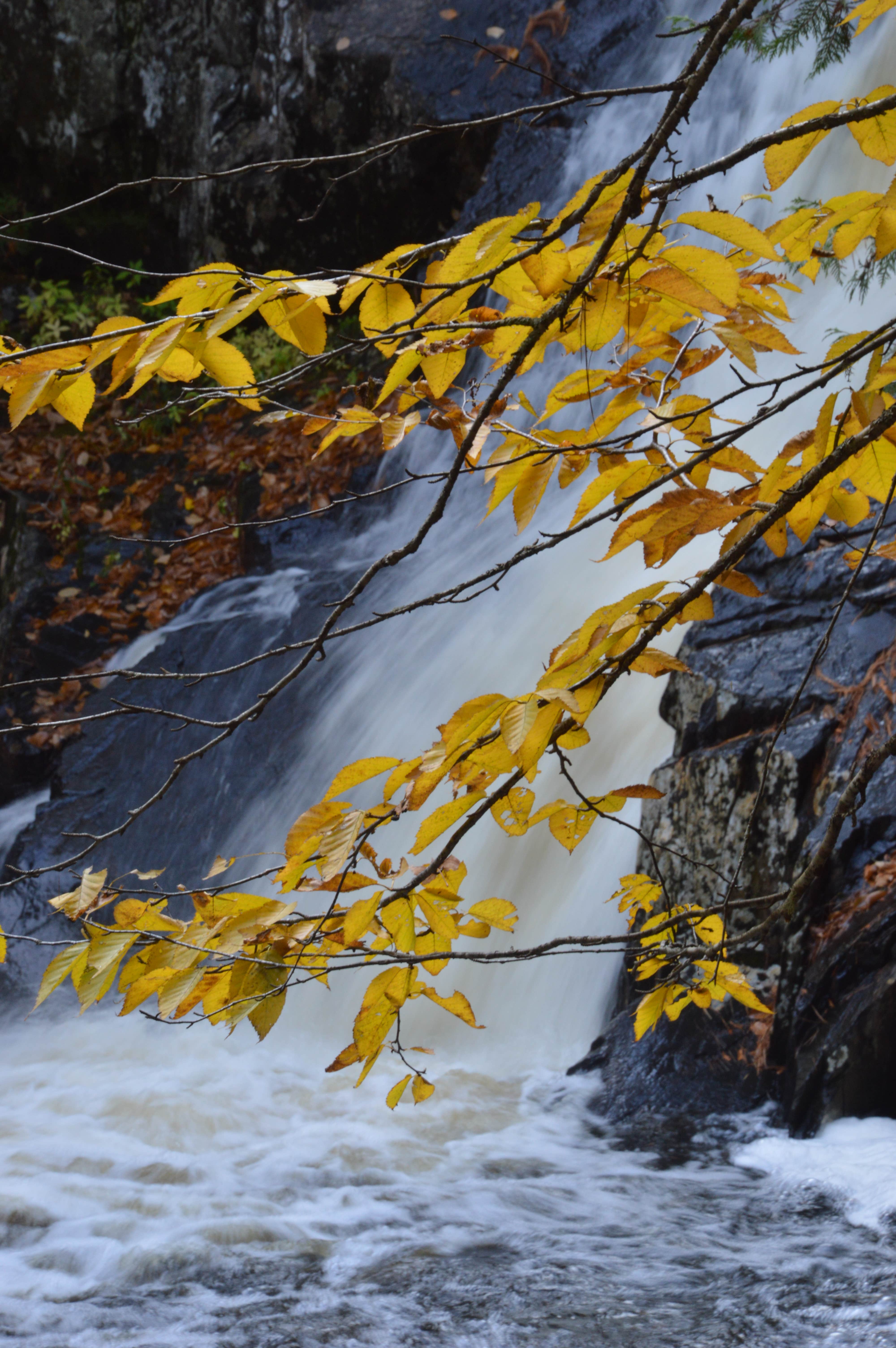 One of two nearby waterfalls