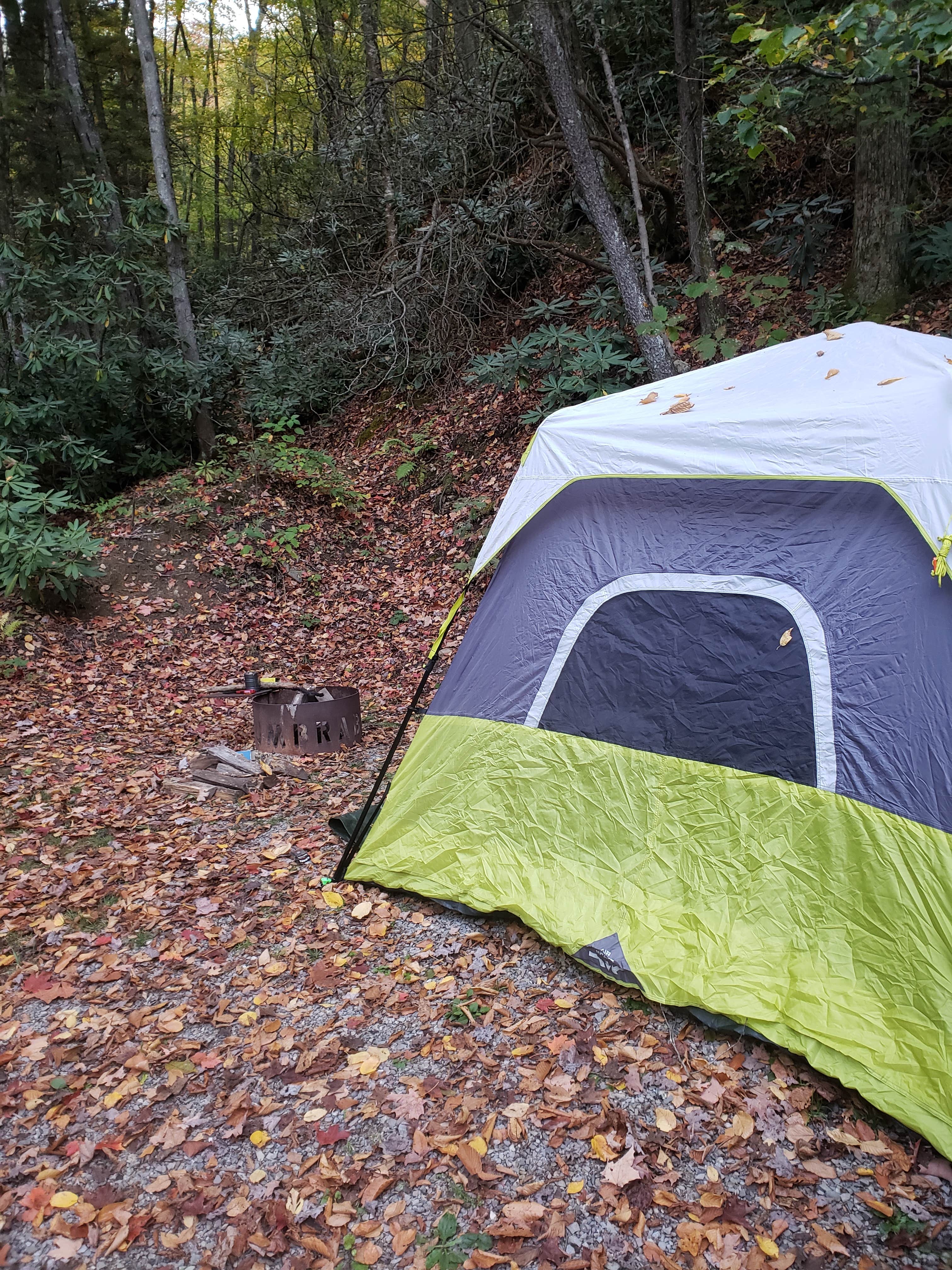 C. S.'s photo at Kumbrabow State Forest near Snowshoe, WV