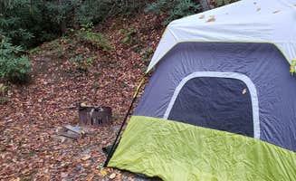 C. S.'s photo at Kumbrabow State Forest near Huttonsville, WV