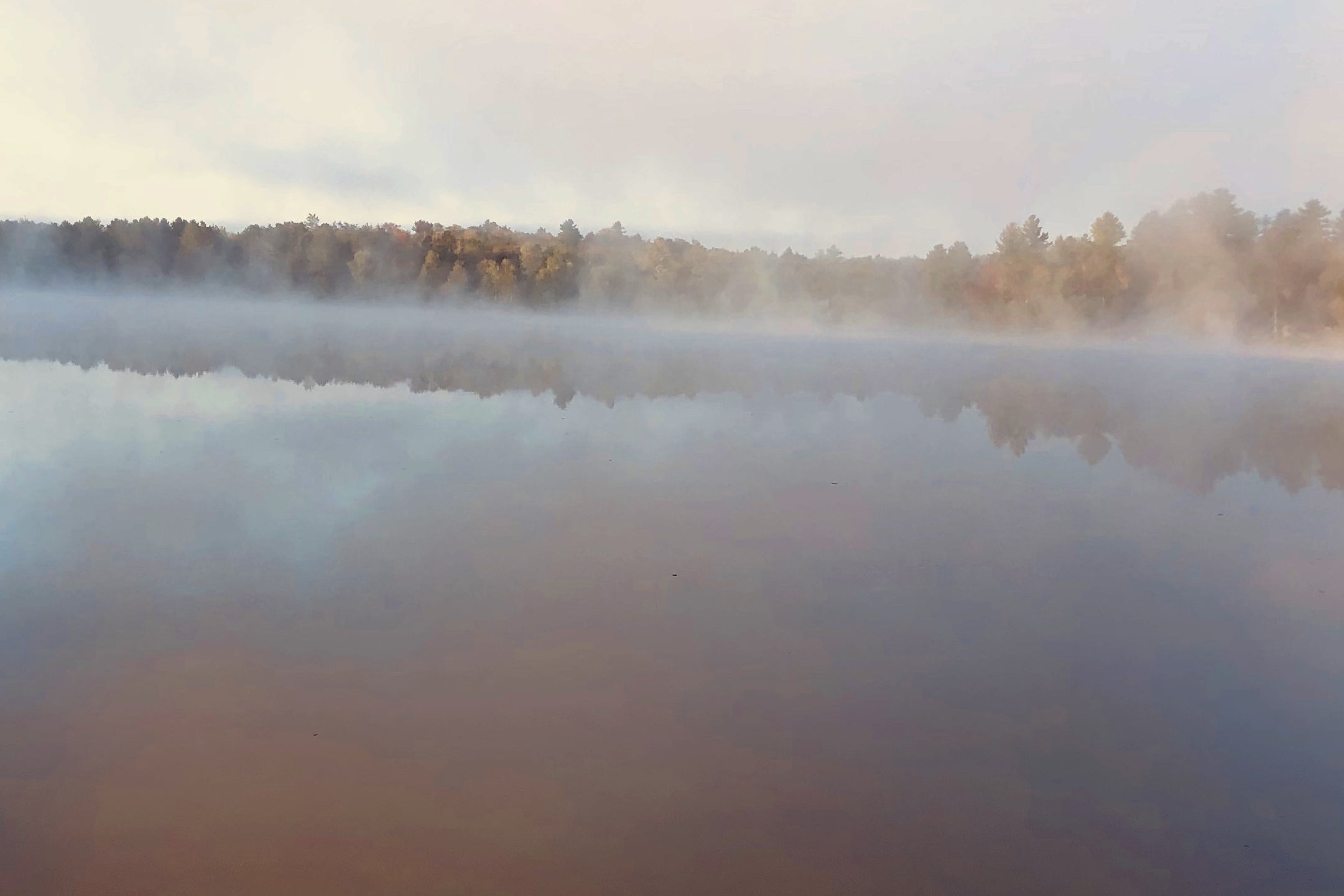 Morning mist on the pond