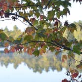 Review photo of Fish Creek Pond Campground by Lee D., October 16, 2019