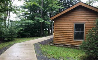 Lee D.'s photo of a cabin at Ricketts Glen State Park Campground near Cogan Station, PA