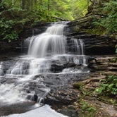 Review photo of Ricketts Glen State Park Campground by Lee D., October 17, 2019