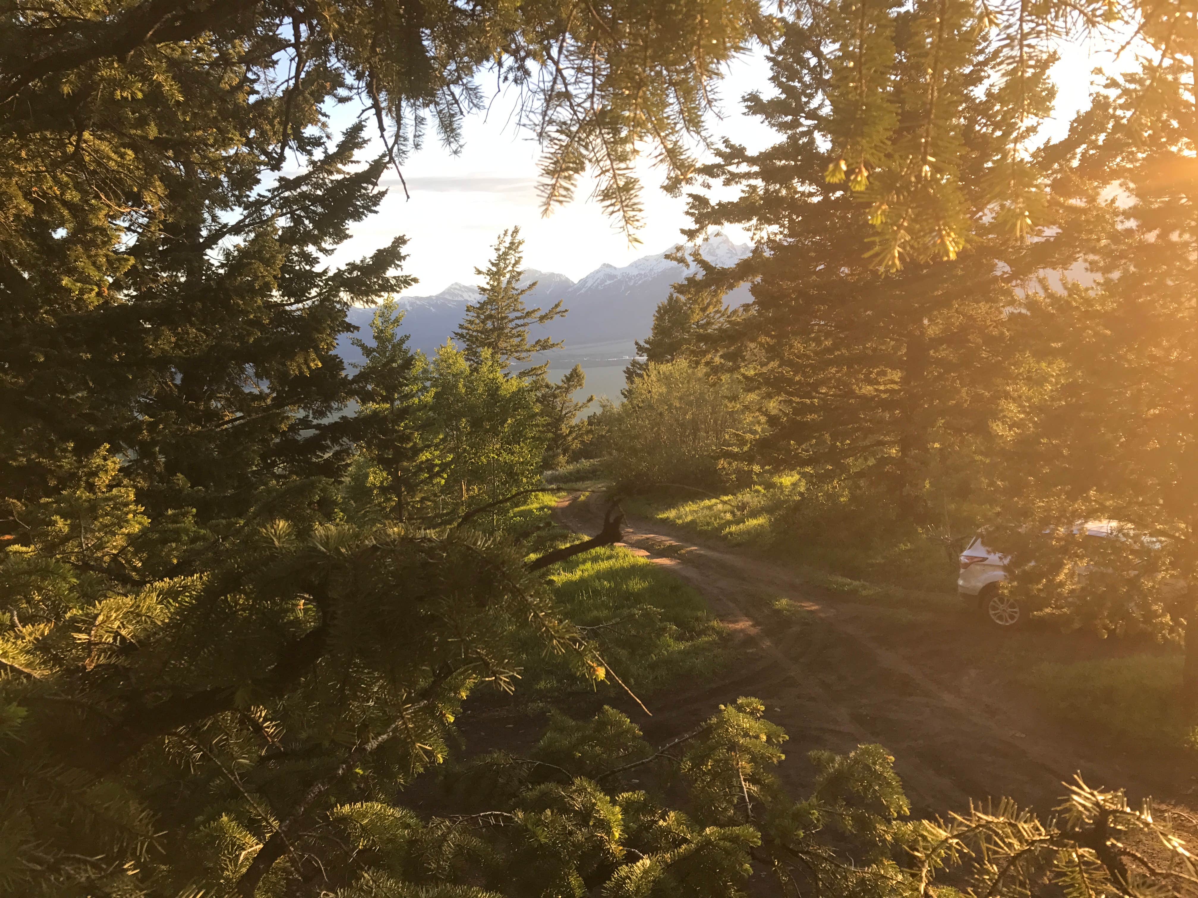 Shadow Mountain Dispersed Camping