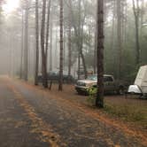 Review photo of Watkins Glen State Park Campground by Lee D., October 17, 2019