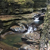 Review photo of Watkins Glen State Park Campground by Lee D., October 17, 2019
