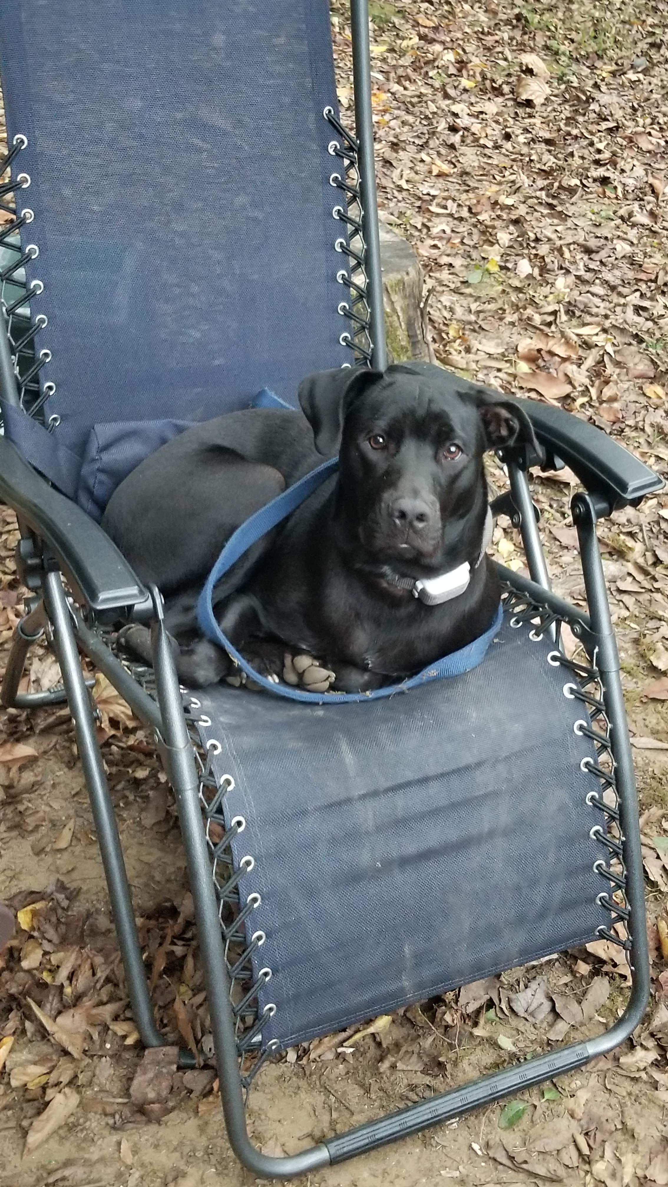 Camper-submitted photo at Appalachian Campground near Hiawassee, GA