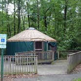 Review photo of French Creek State Park Campground by J K., October 17, 2019