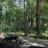Review photo of French Creek State Park Campground by J K., October 17, 2019