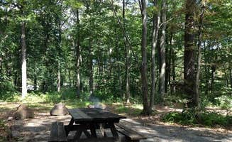 J K.'s photo at French Creek State Park Campground near Reading, PA