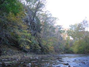 Camper submitted image from Evansburg State Park Campground - 4