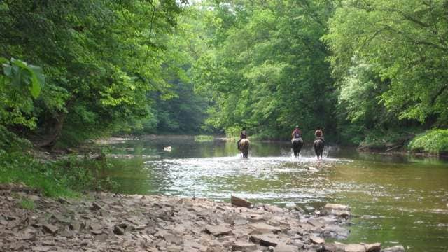 Camper-submitted photo at Evansburg State Park Campground near Blandon, PA