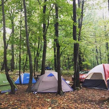 J K.&#x27;s photo of tent camping at Evansburg State Park Campground near Blandon, PA