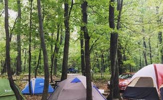 J K.'s photo at Evansburg State Park Campground near Souderton, PA