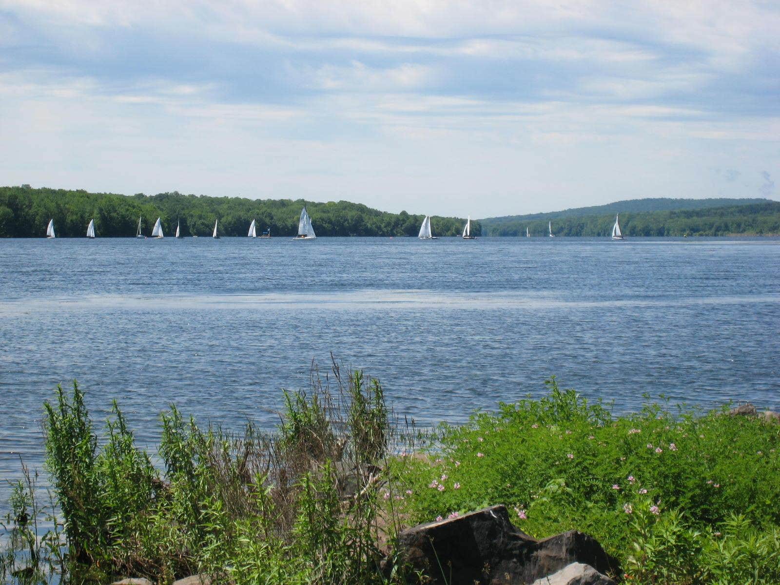 Camper submitted image from Nockamixon State Park Campground - 4