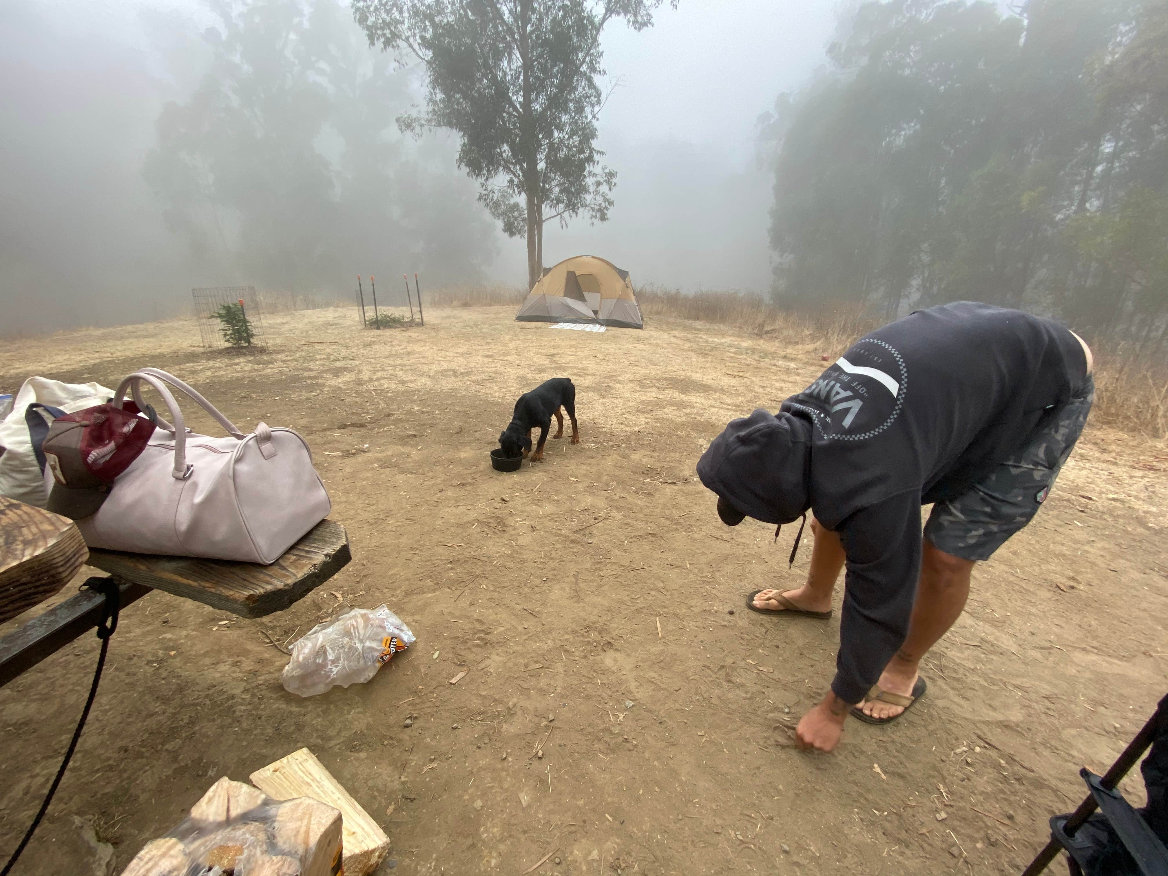 Bree J.'s photo at Anthony Chabot Regional Park near Antioch, CA