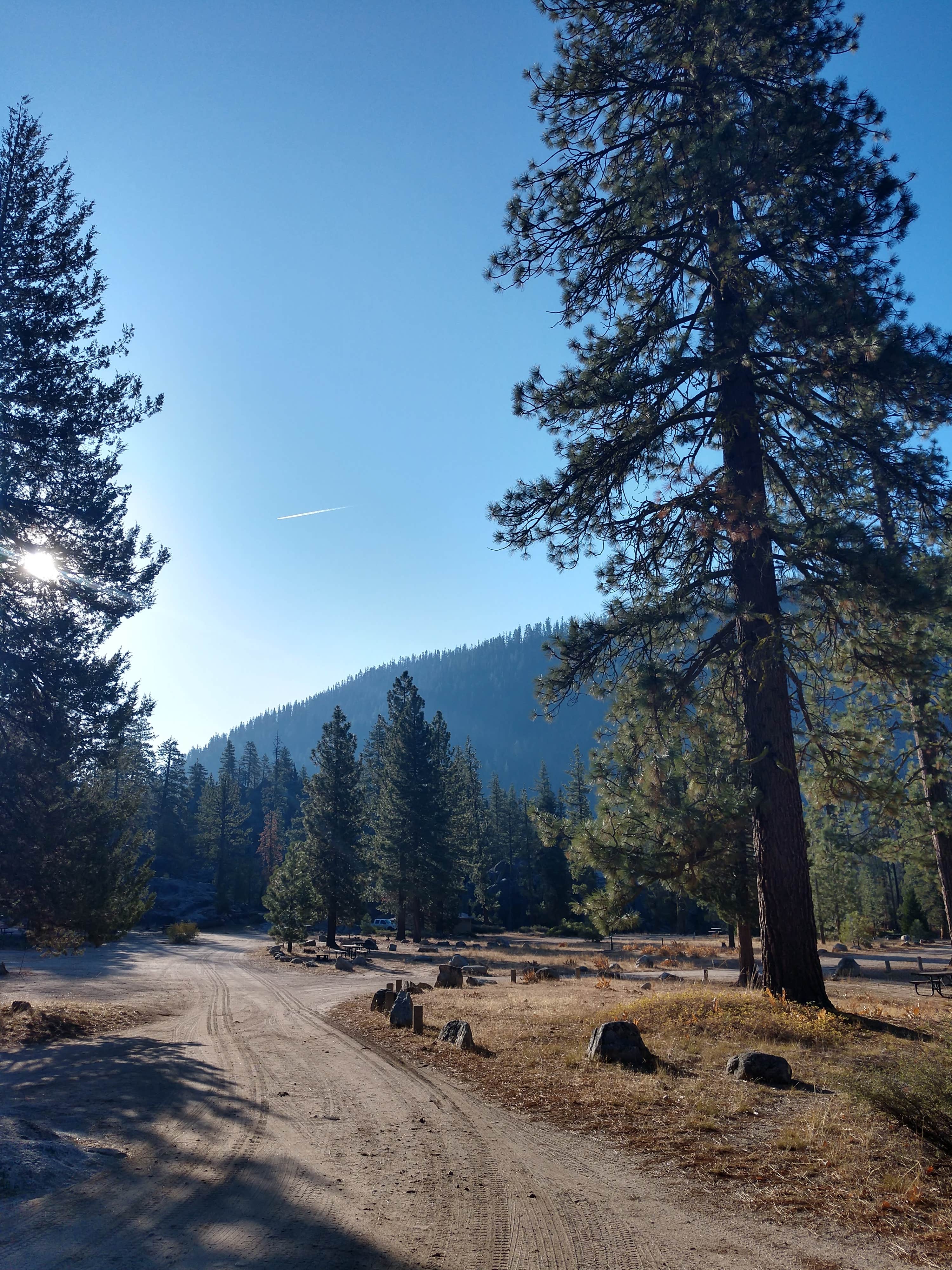 Camper-submitted photo at Eureka Valley Campground near Coleville, CA