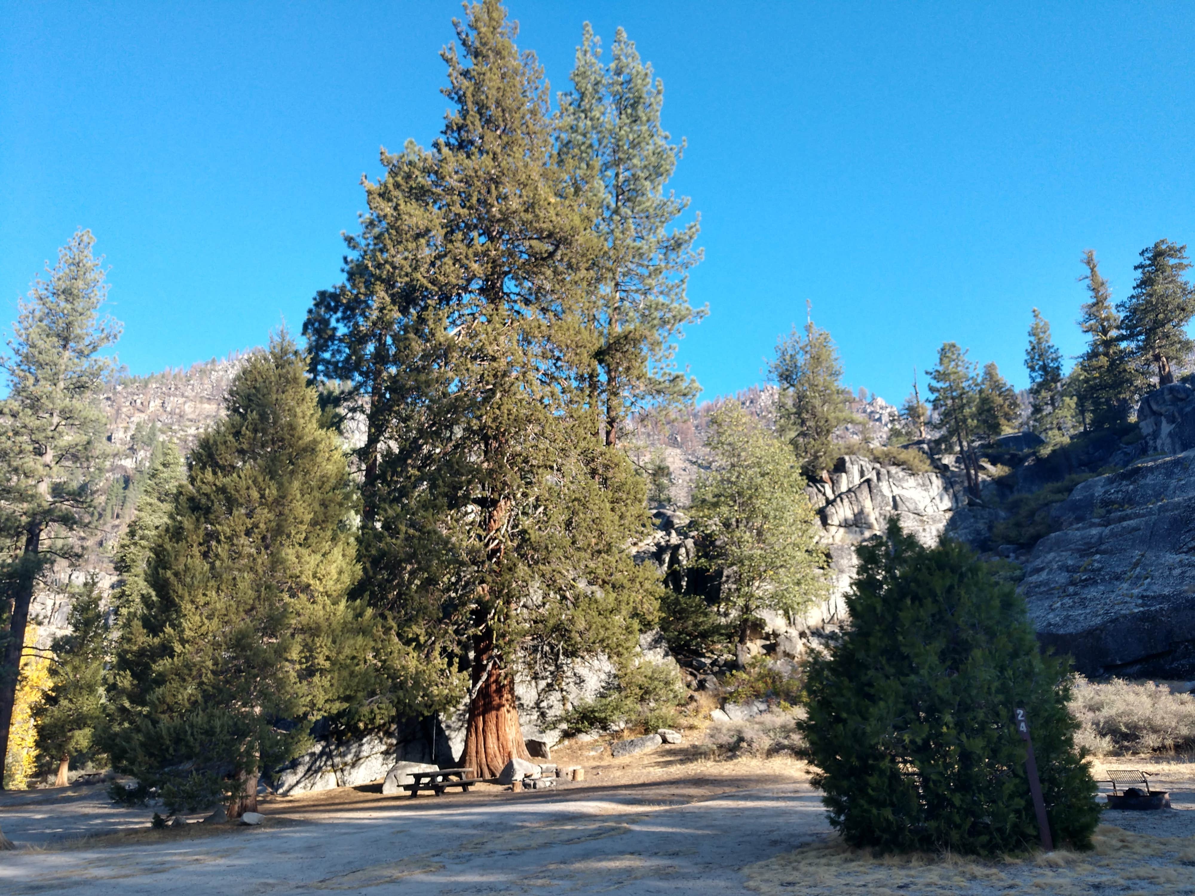 Camper-submitted photo at Eureka Valley Campground near Coleville, CA