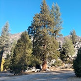 Review photo of Eureka Valley Campground by Hydie C., October 17, 2019