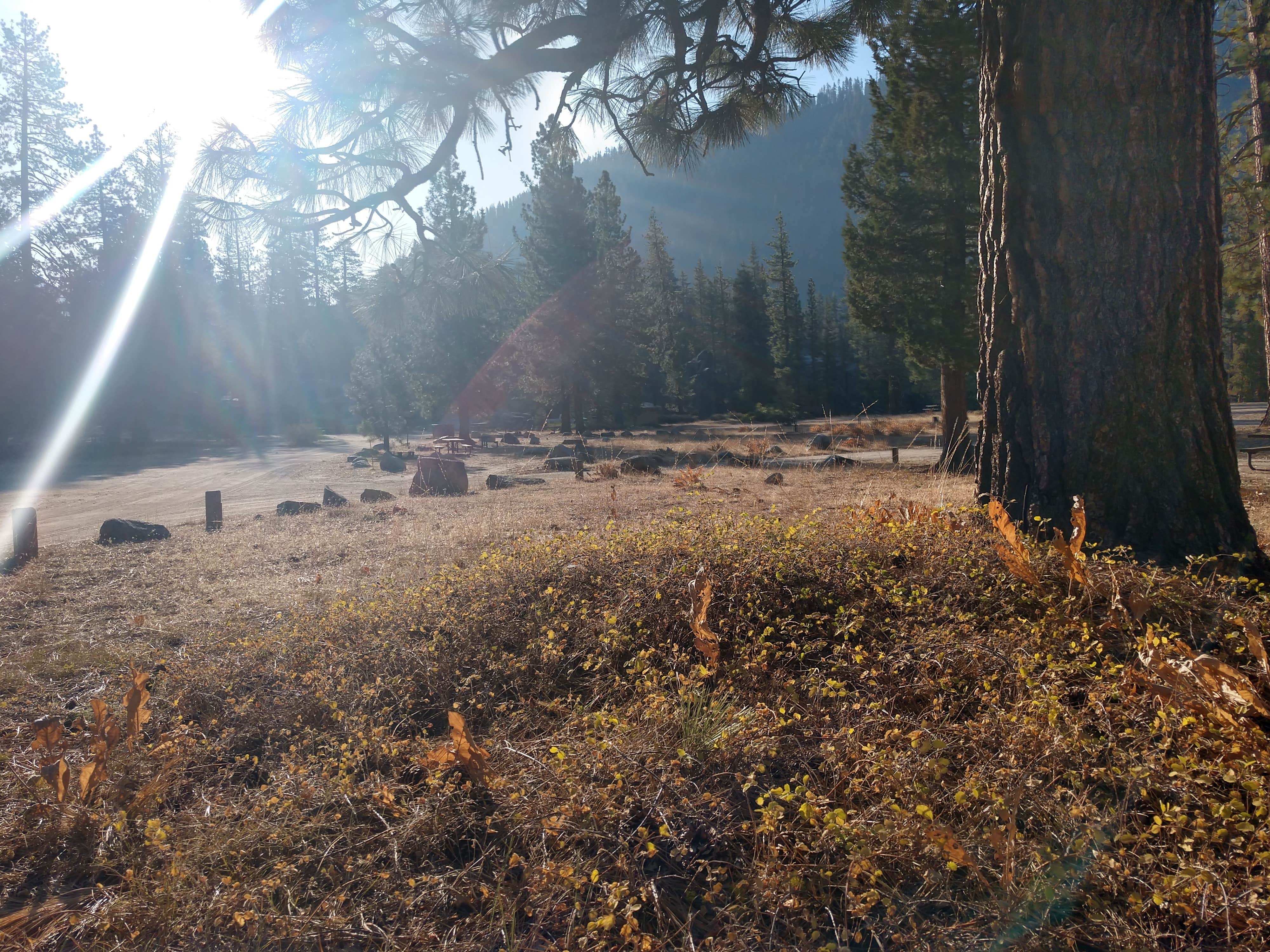 Camper-submitted photo at Eureka Valley Campground near Coleville, CA