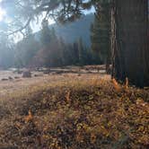 Review photo of Eureka Valley Campground by Hydie C., October 17, 2019