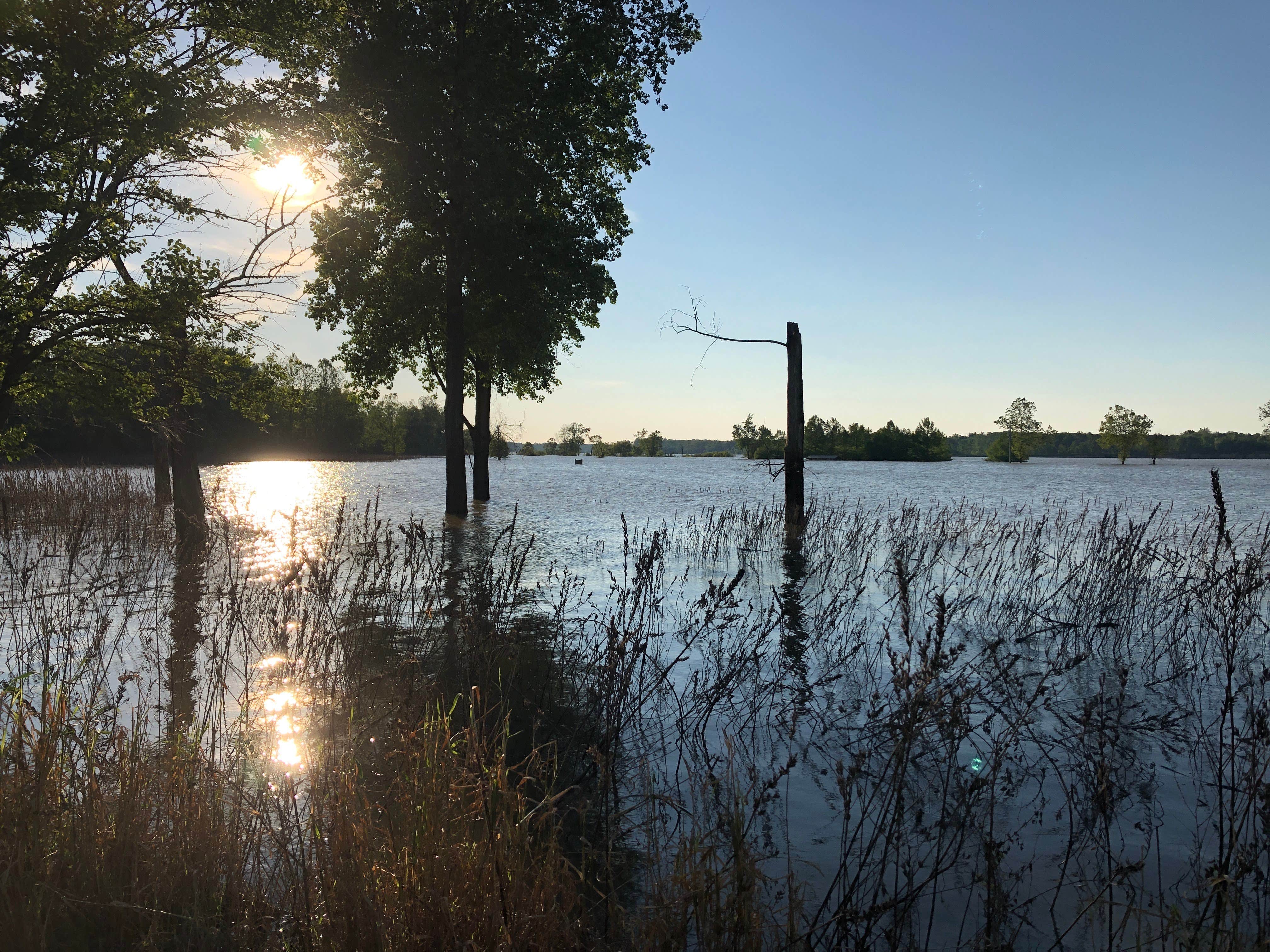 Camper-submitted photo at Lost Bridge West State Recreation Area Campgrounds — Salamonie Lake near Upland, IN