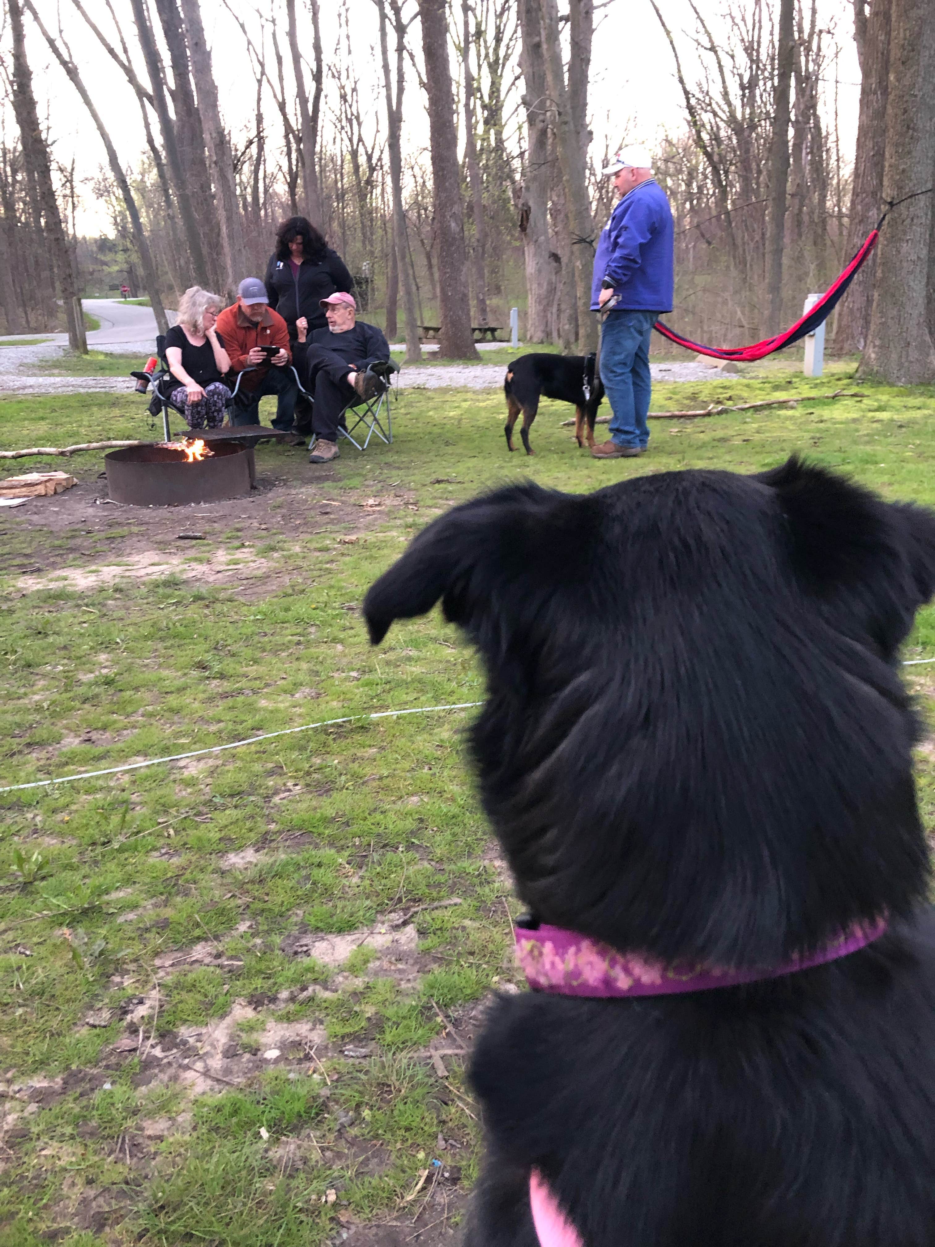 Shasta K.'s photo of camping with pets at Pokagon State Park Campground near Orland, IN