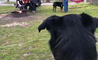 Shasta K.'s photo of camping with pets at Pokagon State Park Campground near Fremont, IN