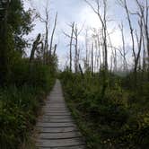 Review photo of Dunewood Campground — Indiana Dunes National Park by Shasta K., October 17, 2019