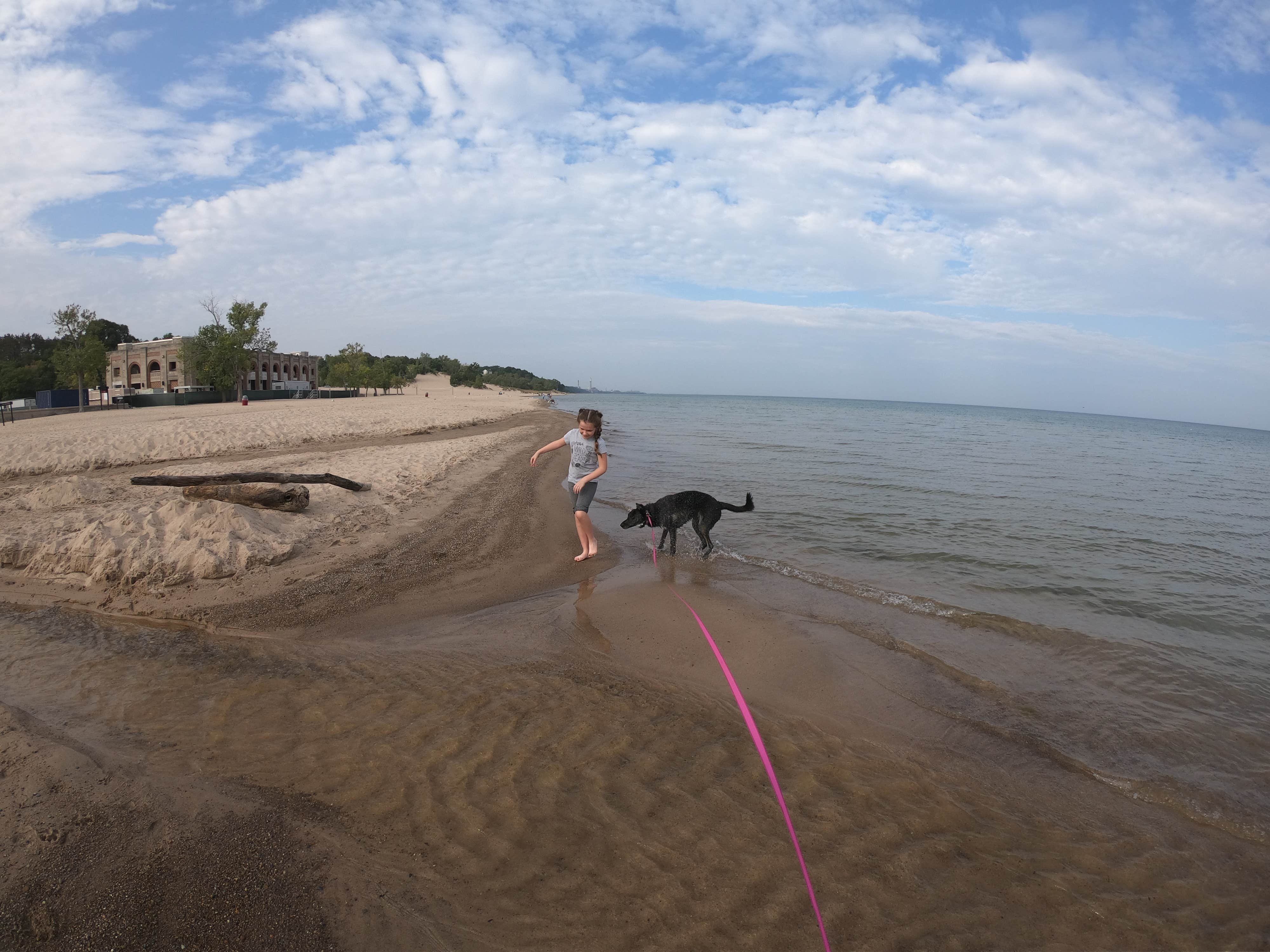 Shasta K.'s photo of camping with pets at Dunewood Campground — Indiana Dunes National Park near Dune Acres, IN
