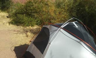 Adam J.'s photo at Upper Big Bend Campground near Arches National Park