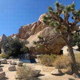 Review photo of Hidden Valley Campground — Joshua Tree National Park by Shavit L., October 17, 2019