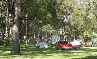 Adam S.'s photo at West Idlewild County Campground near Austin, MN
