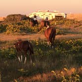 Review photo of Assateague State Park Campground by Ed P., October 17, 2019