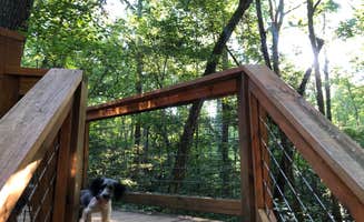 Karina J.'s photo of camping with pets at Nacoochee Adventures near Baldwin, GA