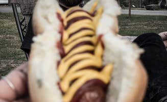 Chanel C.'s photo of camping with pets at Oceano Campground — Pismo State Beach near San Luis Obispo, CA