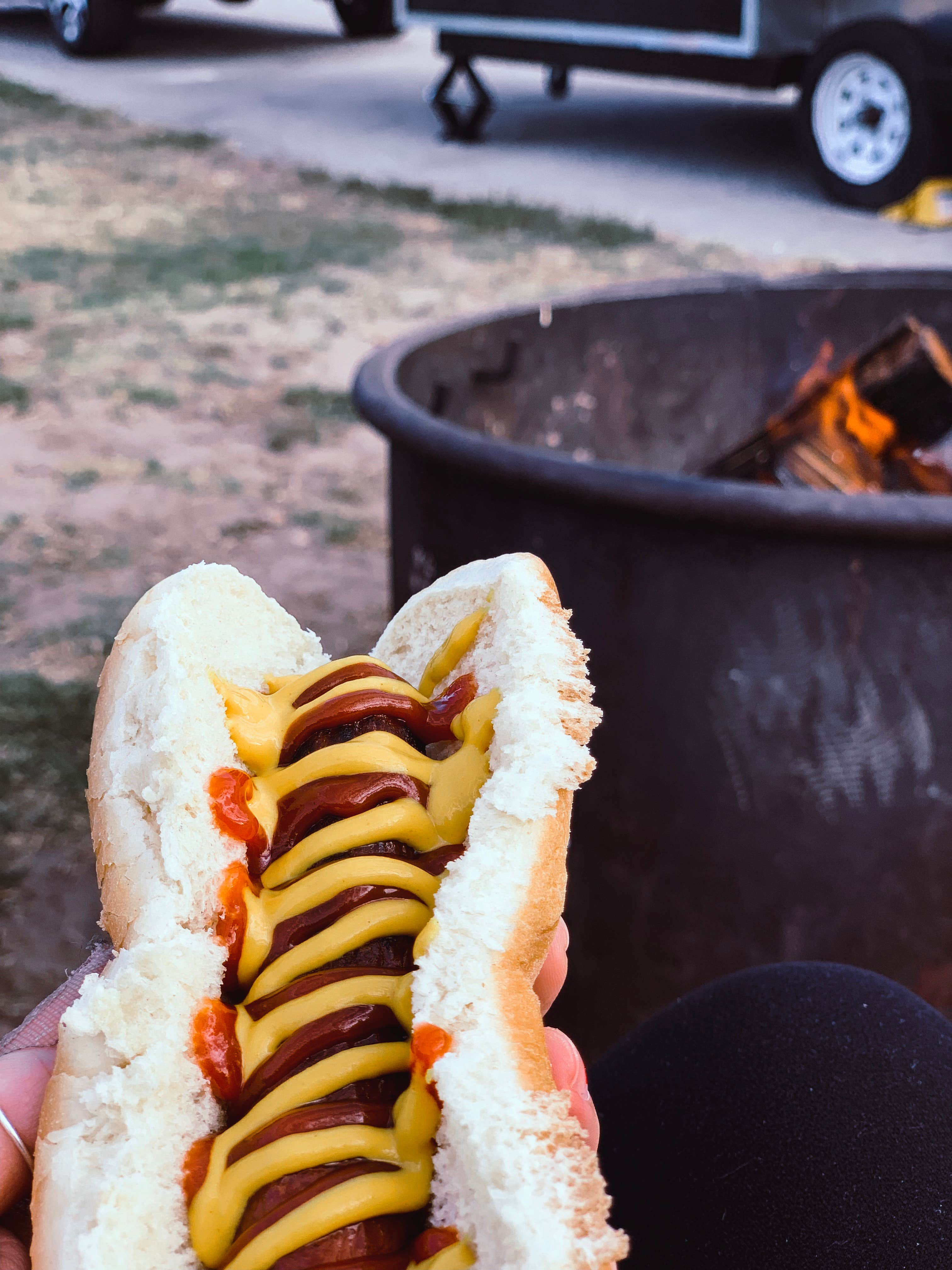 Chanel C.'s photo of camping with pets at Oceano Campground — Pismo State Beach in California