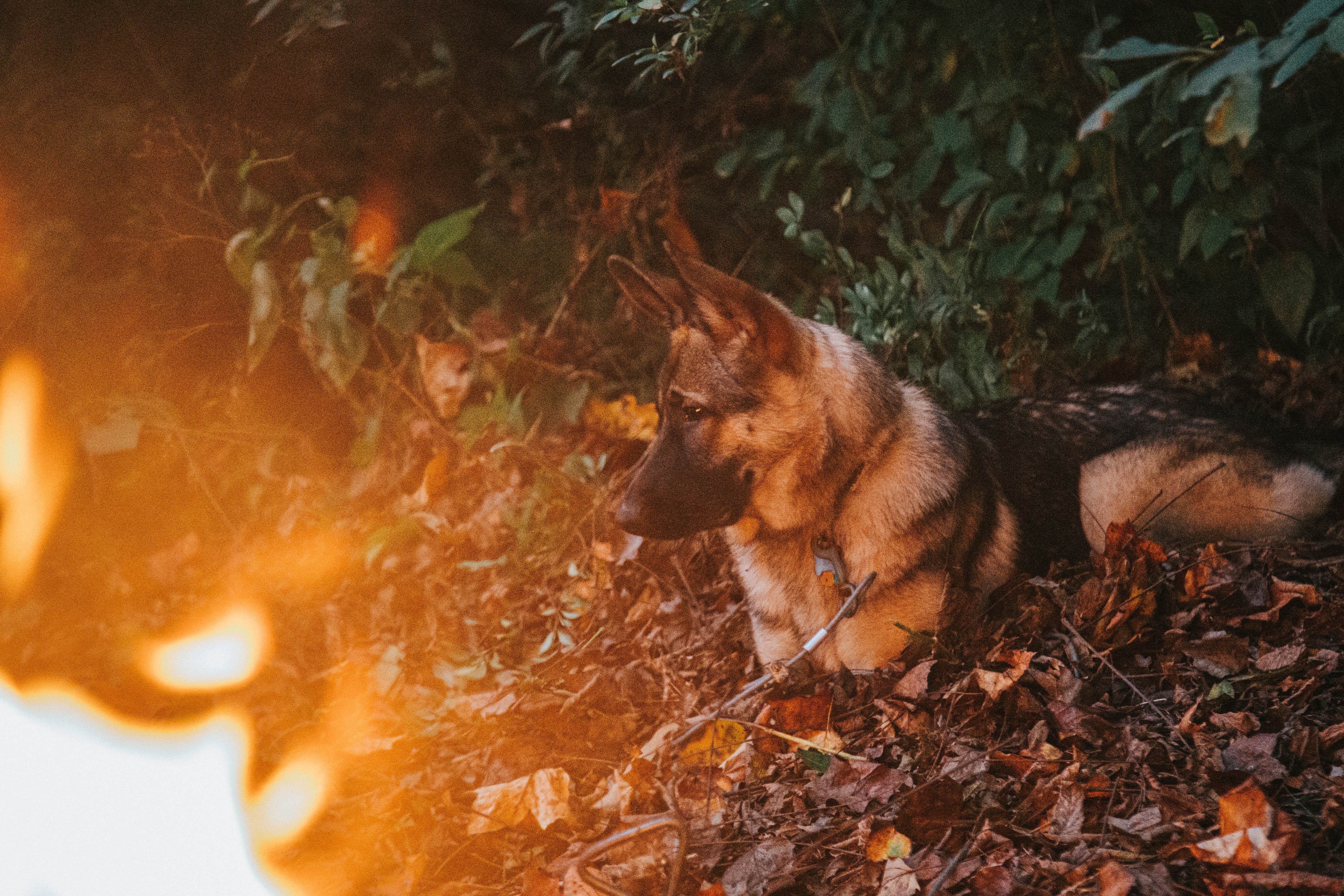 Camper-submitted photo at Philadelphia-West Chester KOA near Hockessin, DE