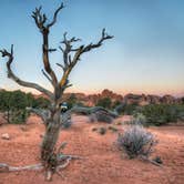 Review photo of Devils Garden Campground — Arches National Park by Asher K., June 22, 2016