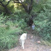 Review photo of Tonto National Forest Riverside Campground by Jeni G., October 18, 2019