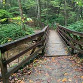 Review photo of Desoto Falls by Bobby A., October 18, 2019