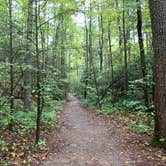 Review photo of Desoto Falls by Bobby A., October 18, 2019