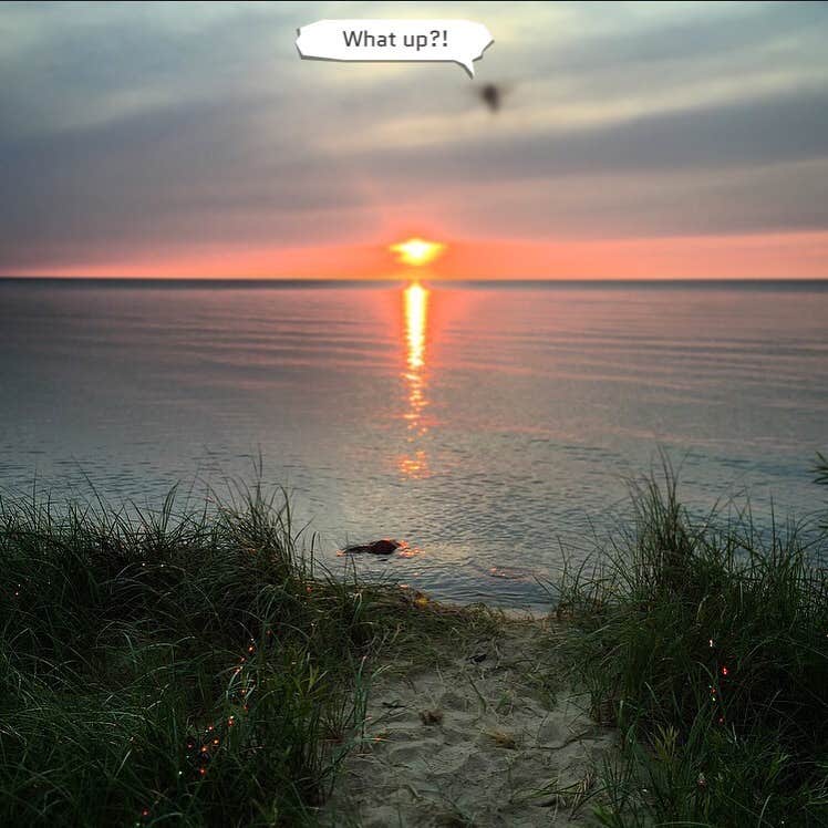Camper submitted image from Port Crescent State Park Campground - 4