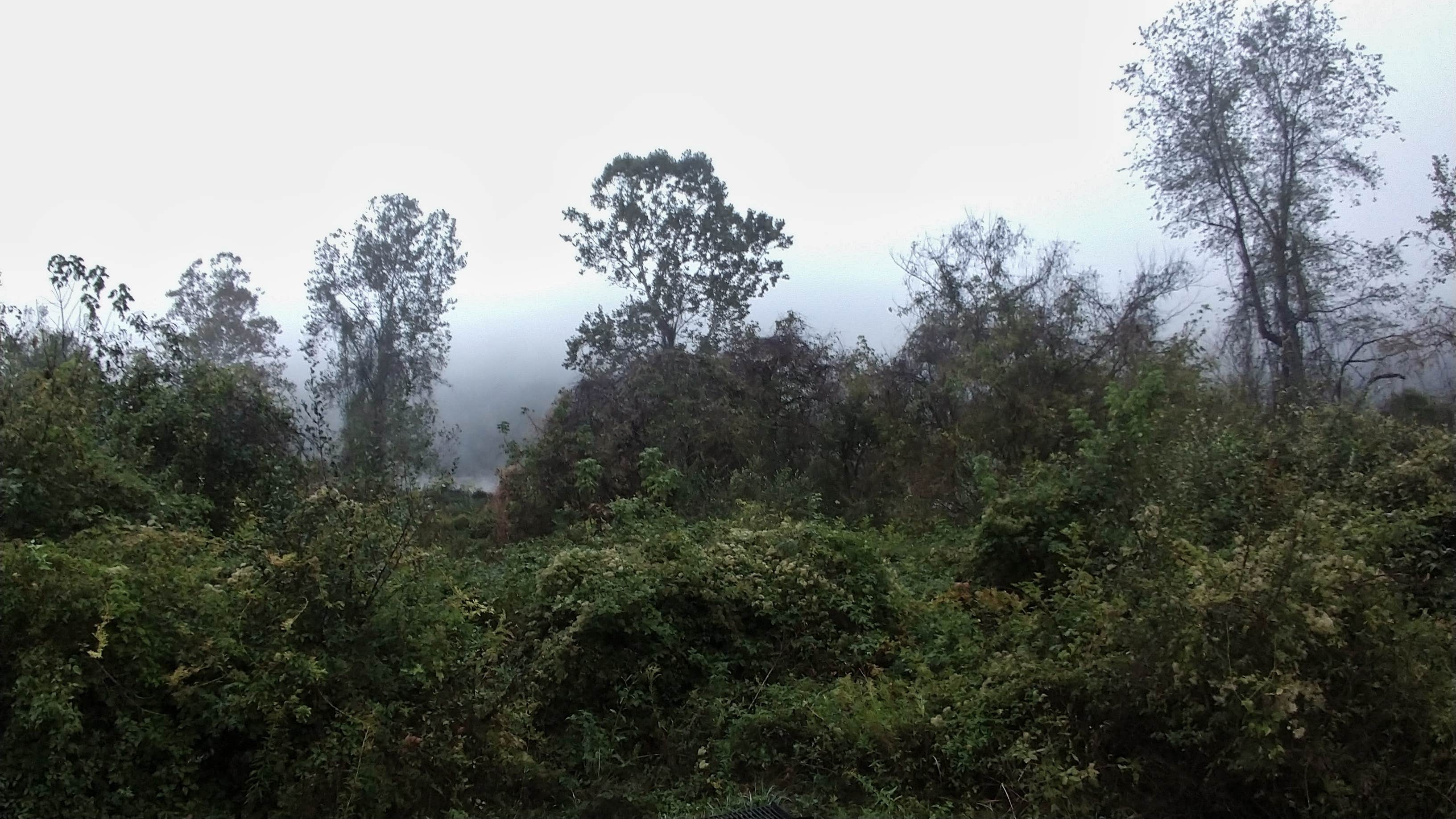 Camper-submitted photo at McClintic Point Primitive Campground near White Sulphur Springs, WV