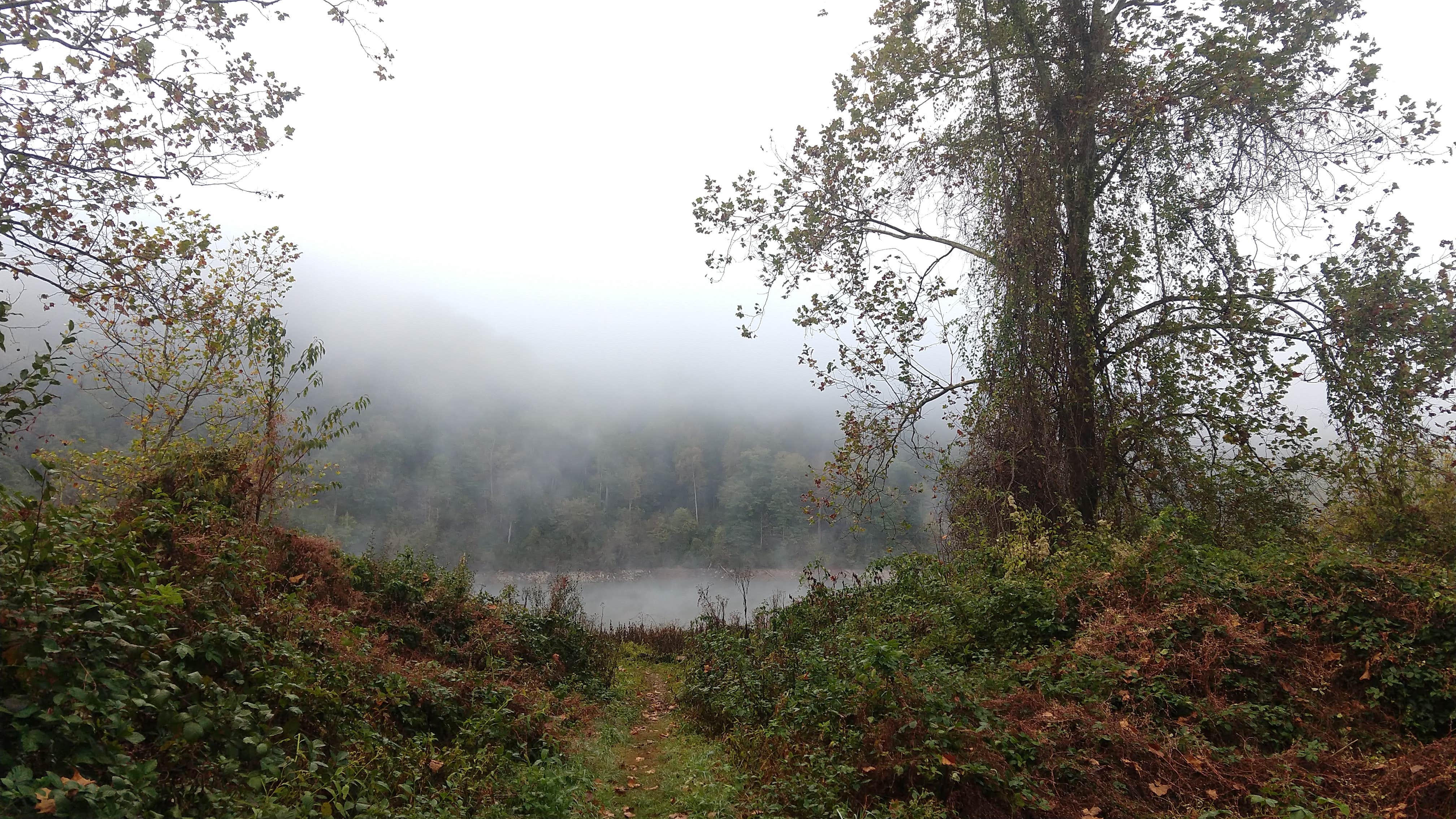 Camper-submitted photo at McClintic Point Primitive Campground near White Sulphur Springs, WV