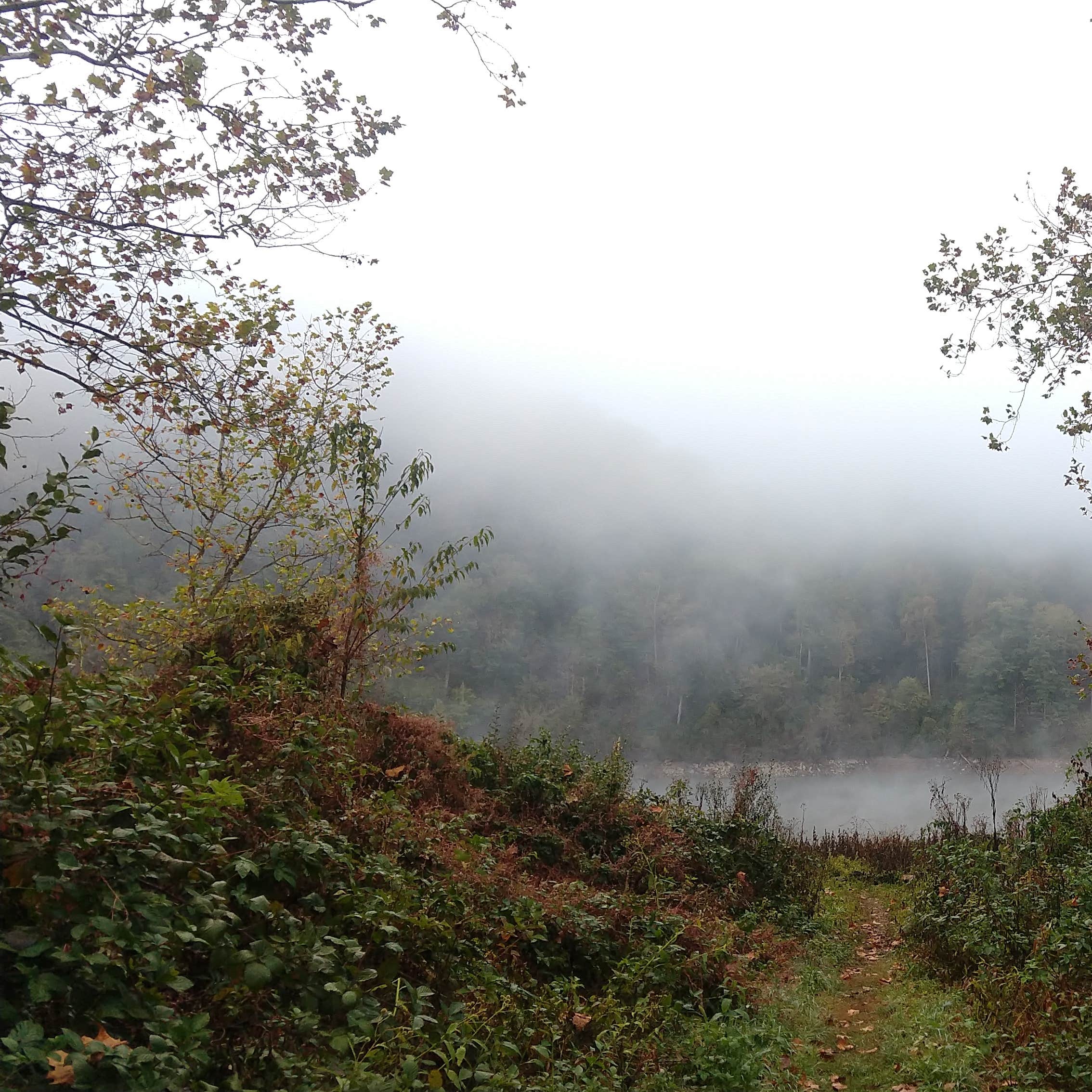 McClintic Point Primitive Campground Hot Springs, VA
