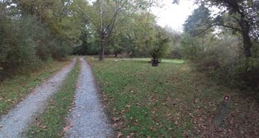 McClintic Point Primitive Campground