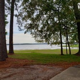 Review photo of Lakeside Village Marina by Julie G., October 18, 2019