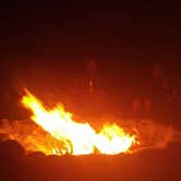 Review photo of Cachuma Lake Recreation Area by Lindsay C., August 16, 2017