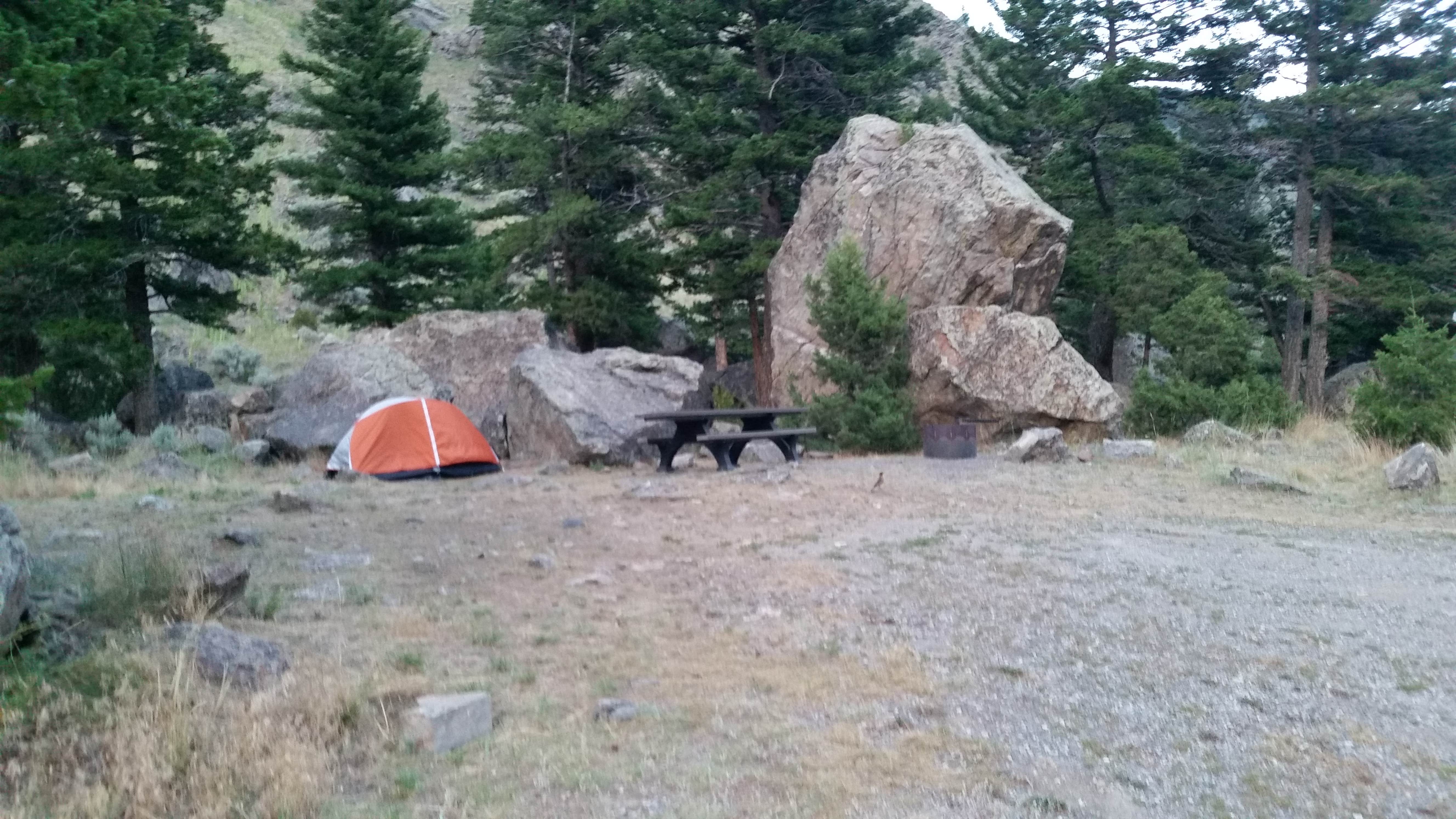Dexter I.'s photo at Canyon Campground near Custer Gallatin National Forest